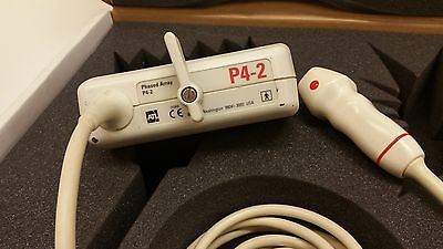 P4-2-Philips-Atl-Ultrasound-Transducer-Probe.jpg